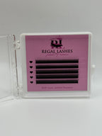 Baby Lash Bundle